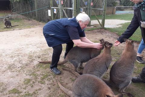 Woman tending to animal