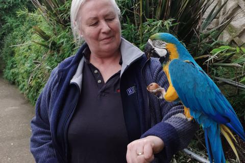 Woman with parrot