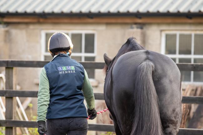 RAMP member with horse