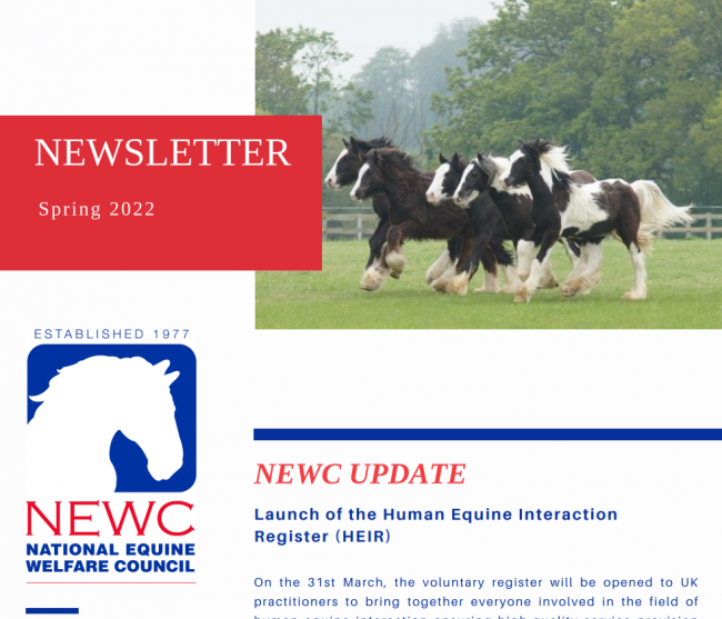 NEWC Spring Newsletter 22