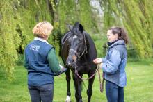 RAMP member and client with horse