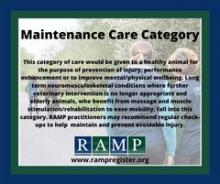 Maintenance Care Category